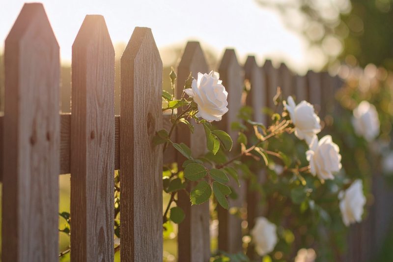 Deck & Fence Builder project in Budapest