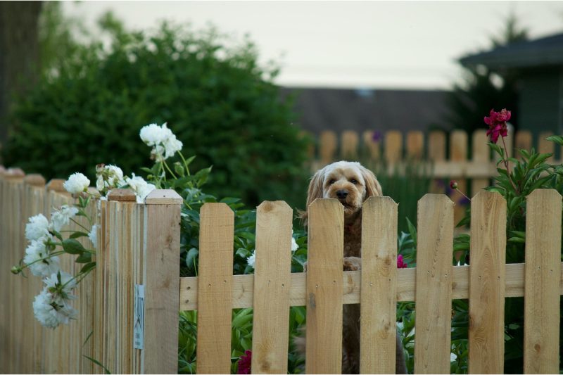 Deck & Fence Builder project in Budapest